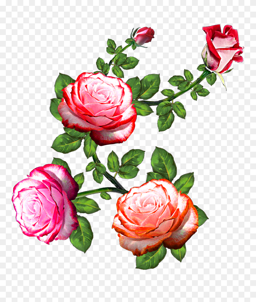 Digital Print Flowers Design Clipart