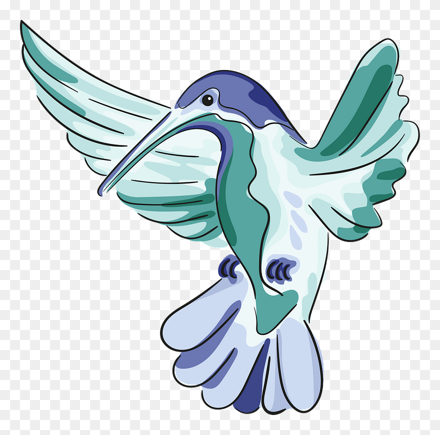 Drawn Hummingbird Clipart - Transparent Clipart Hummingbird - Png Download