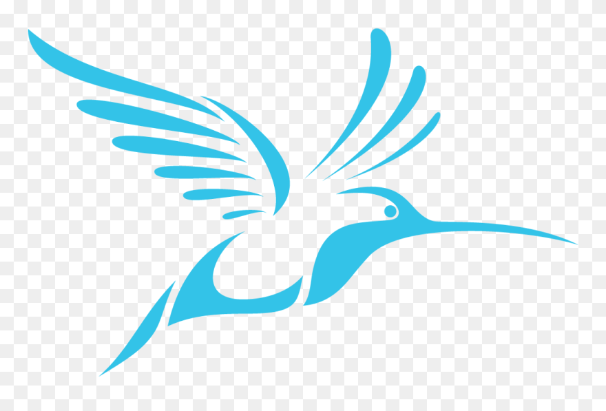 Logo Hd Bird Sport Clipart