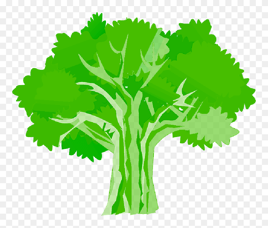 Tree, Environment, Ecology, Nature, Plant - Oak Tree Clipart - Png Download
