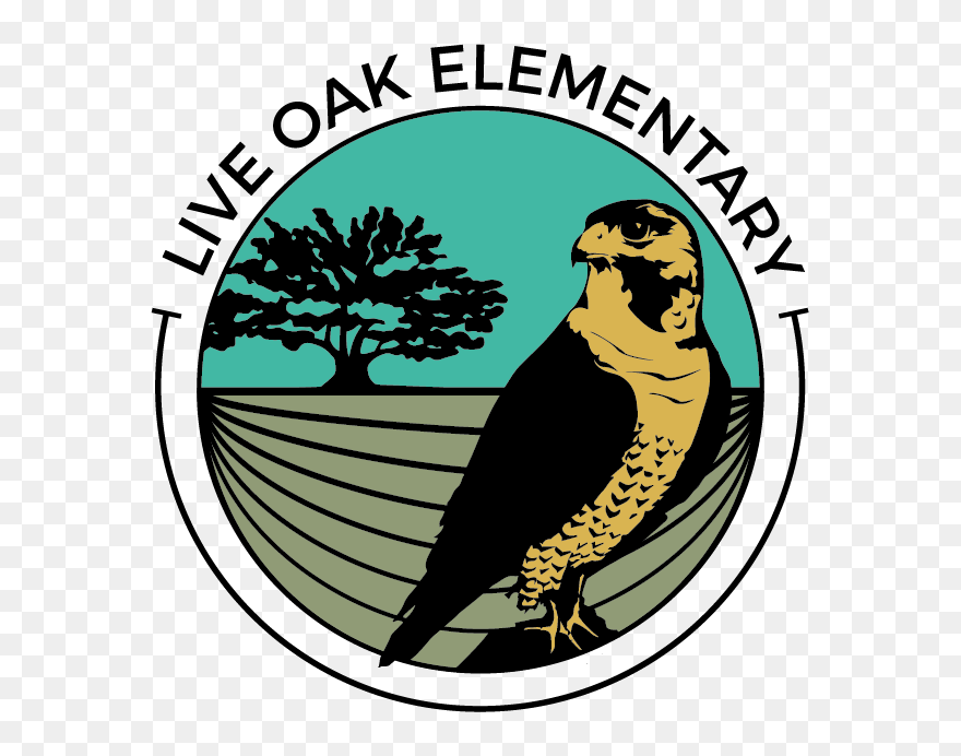 Live Oak Clipart