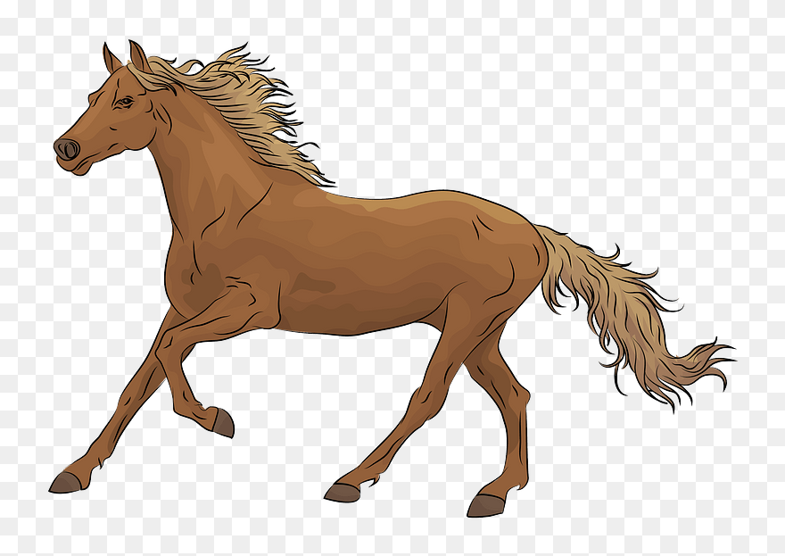 Horse Clipart - Caballo Clipart - Png Download