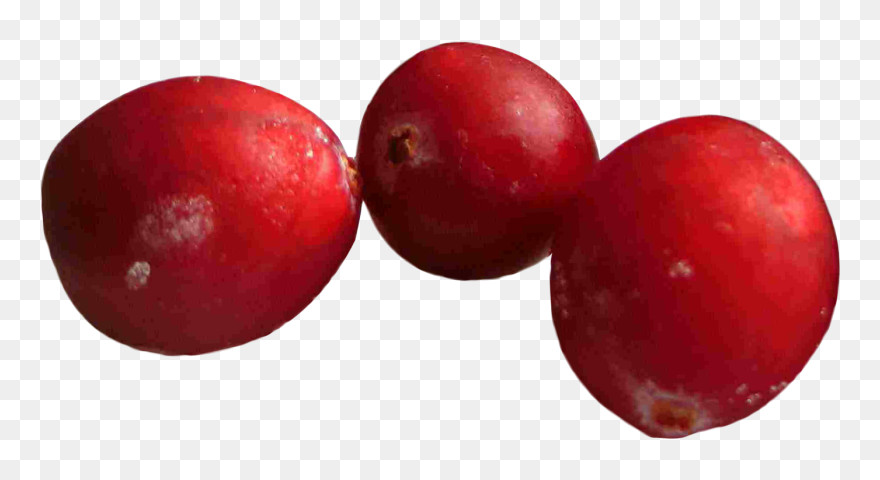 "
										 Title=" - Single Cranberry Png Clipart