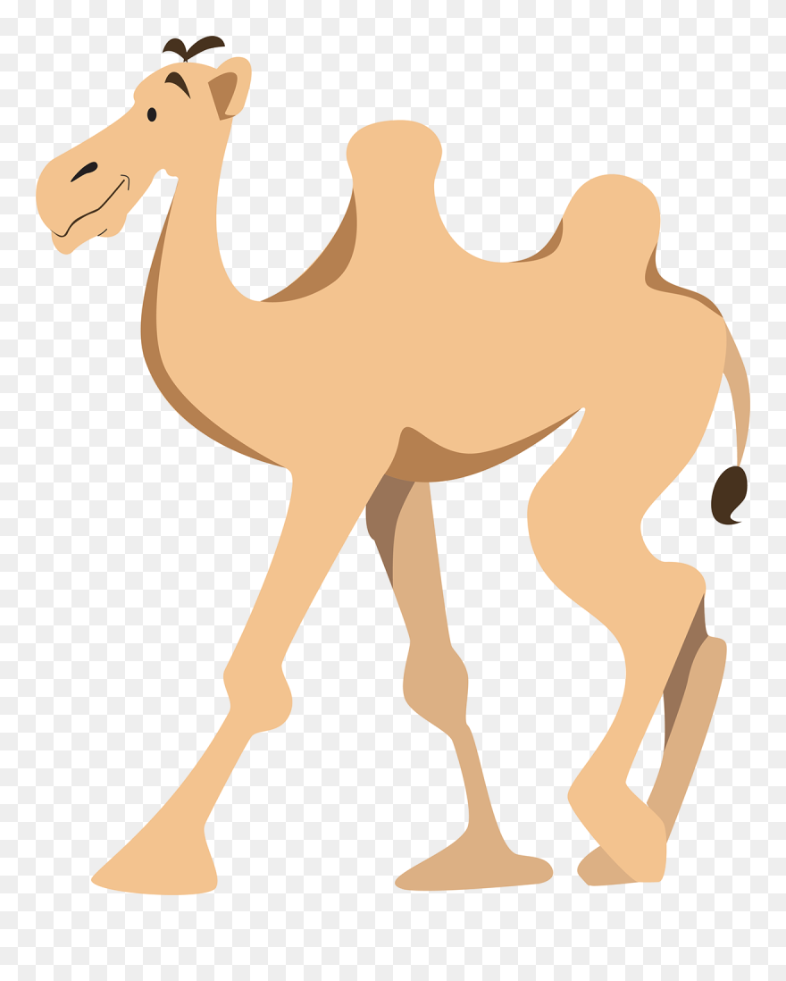 Arabian Camel Clipart