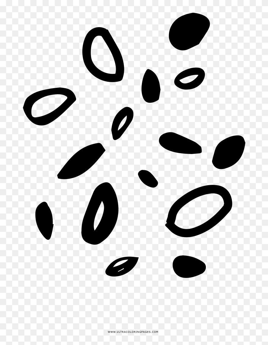 Seeds Coloring Page Clipart