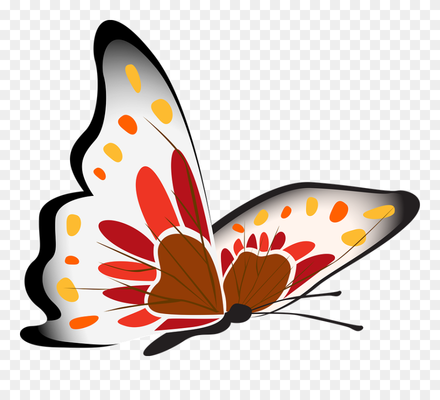 Papillon Clipart - Papillon Clipart Png Transparent Png