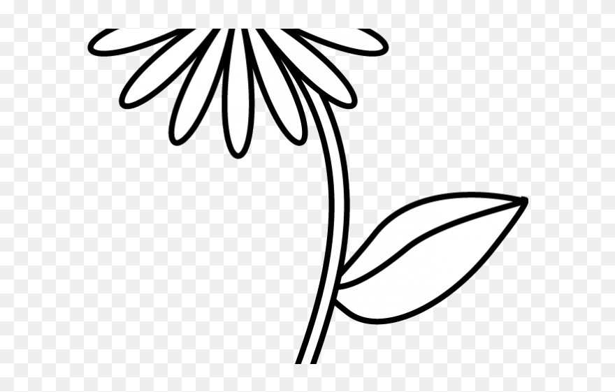 Simple Flower Drawing Easy Clipart