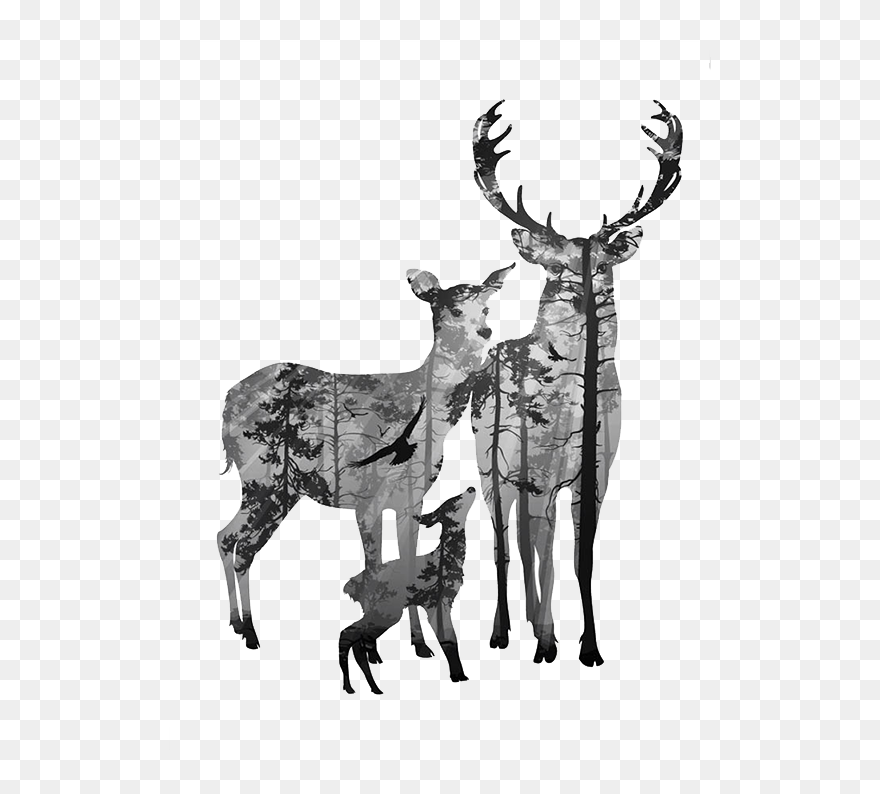 Deer Canvas Antler Clip Art - Black And White Deer Head Drawing - Png Download
