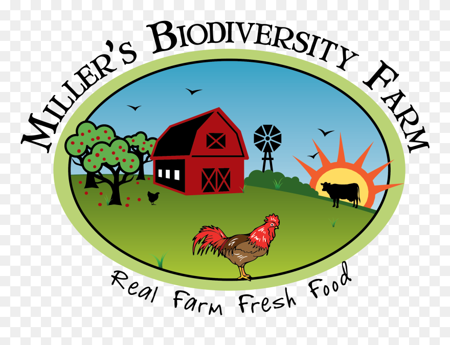 Miller"s Biodiversity Farm Logo - Cartoon Clipart