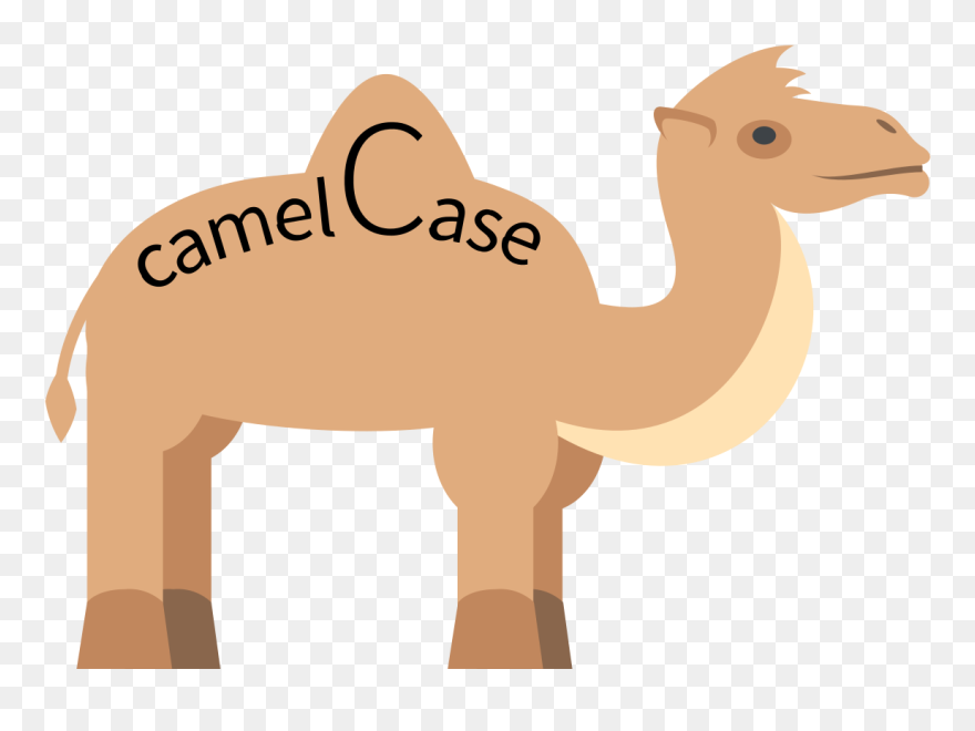 Camel Case Clipart