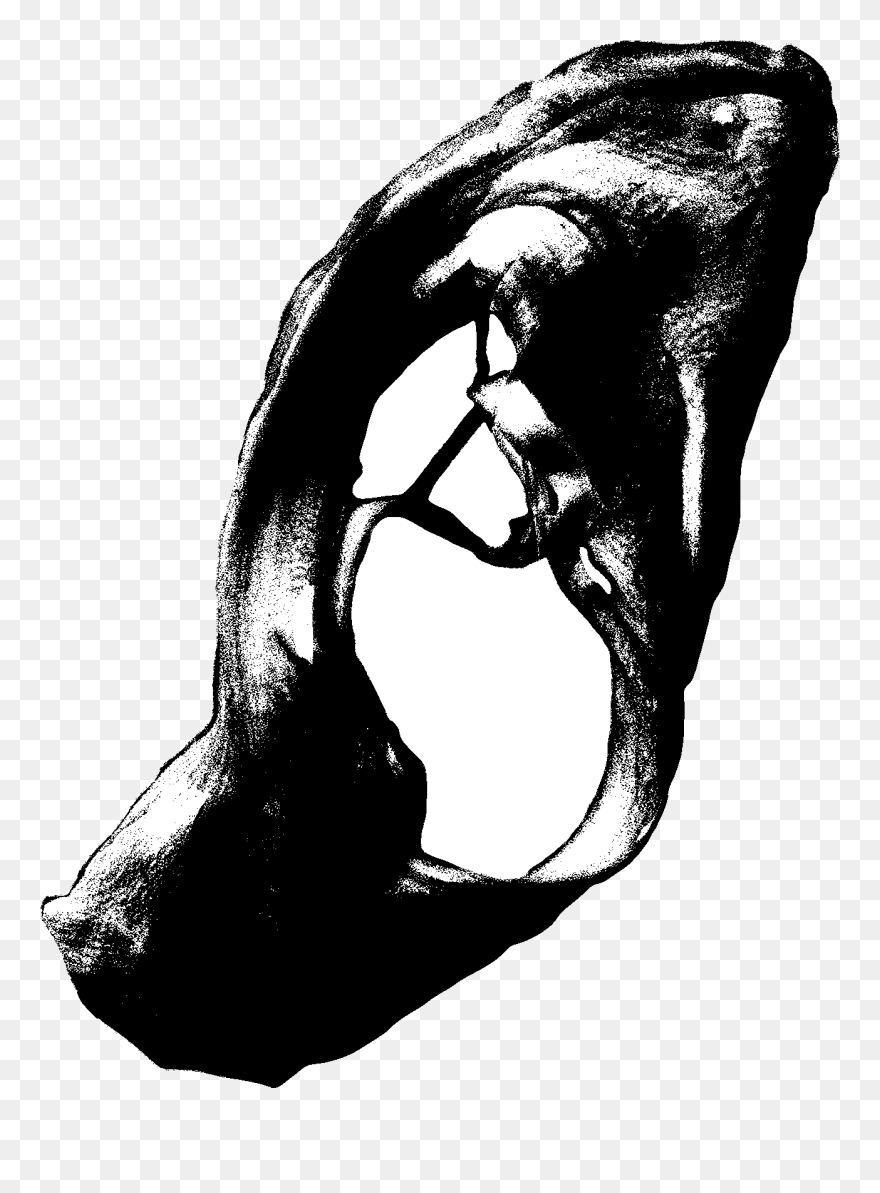 Hybrid Drawing Photography - Illustration Clipart