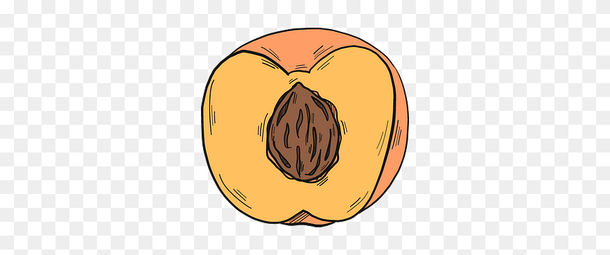 Clip Art - Png Download