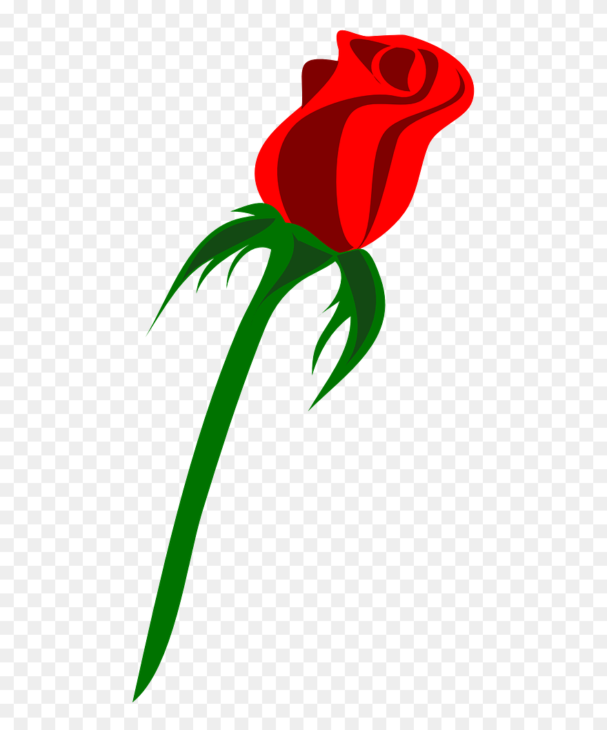 Rose Single Bud Free Photo - Rose Vector Png Clipart