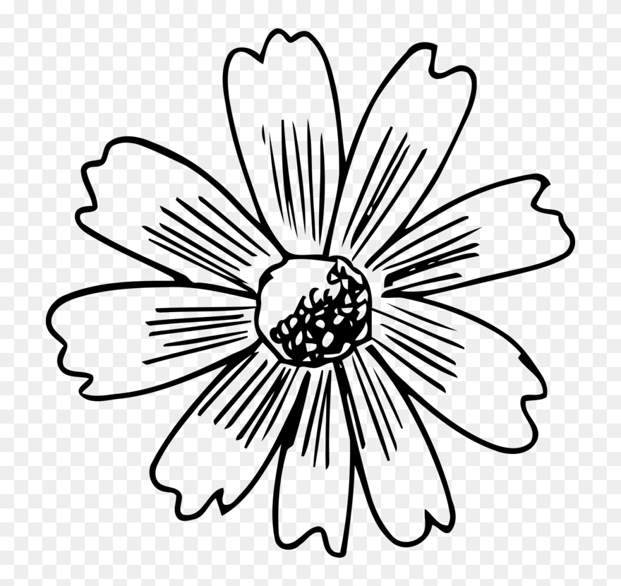 Symmetry,monochrome Photography,petal - Clip Art - Png Download