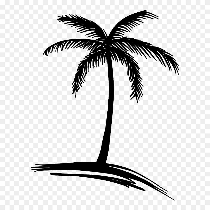 Logo Drawing Beach - Drawing Clipart Coconut Tree - Png Download
