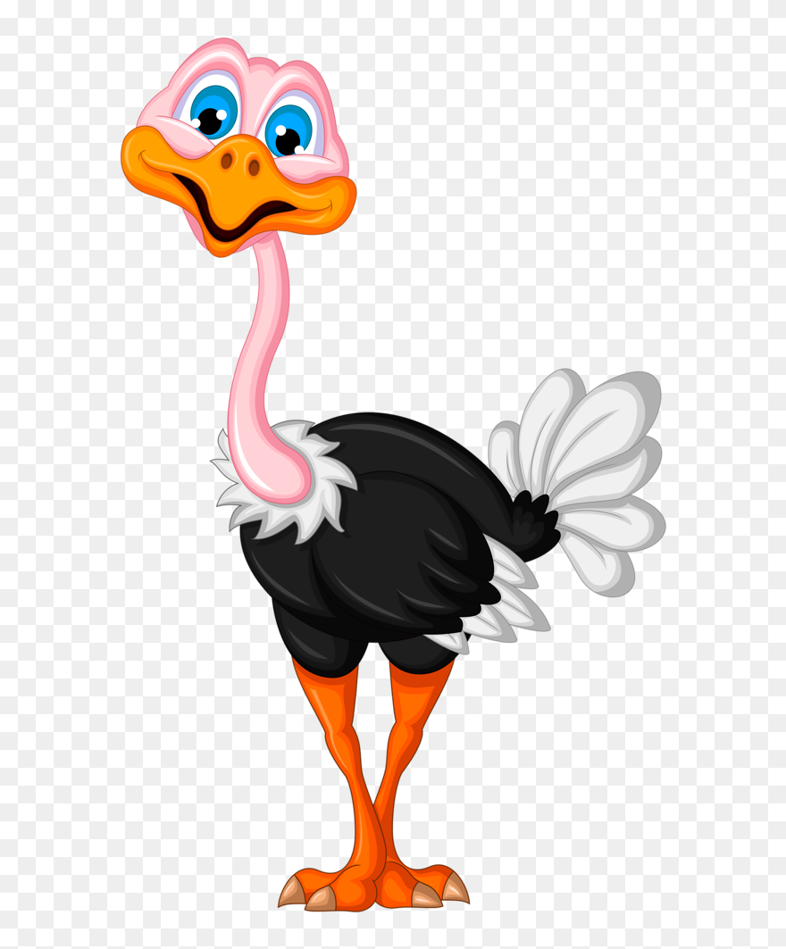 Ostrich Clipart White Background - Ostrich Clipart Transparent Background - Png Download