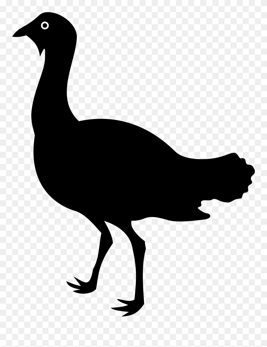 Ostrich Clipart Silhouette - Bustard Png Transparent Png