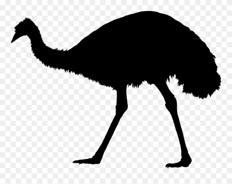 Common Ostrich Emu War Silhouette Bird - Silhouette Drawing Emu Clipart