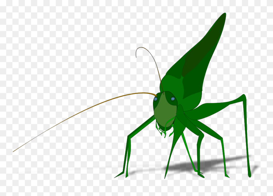 Grasshopper With Shadow Small Clipart 300pixel Size, - Grasshopper Clipart - Png Download