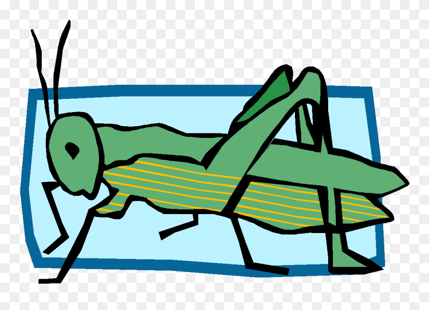 Grasshopper Vector Food Chain - Gra Gre Gri Gro Gru Clipart