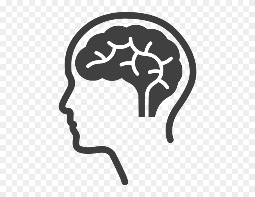 Download hd Brain Png Grey Clipart and use the free clipart for your creati...