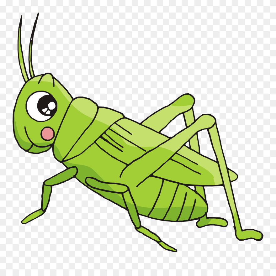 Insects Clipart Insect Grasshopper - Dibujos Animados De Un Grillo - Png Download