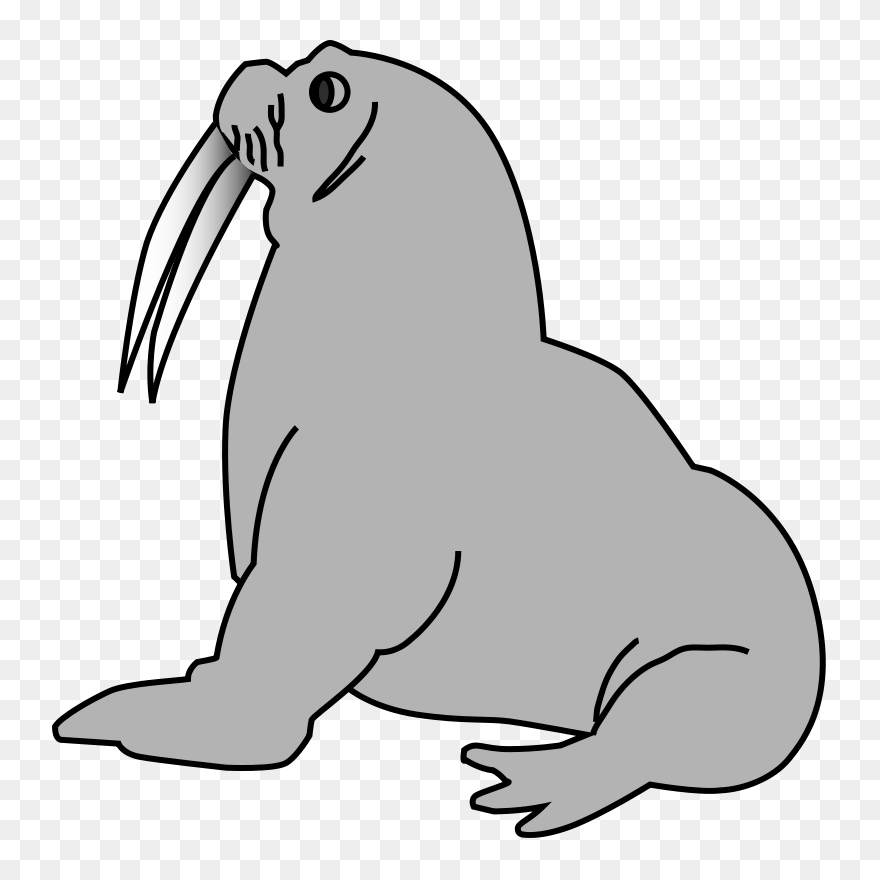 Seal - Seal Clip Art - Png Download