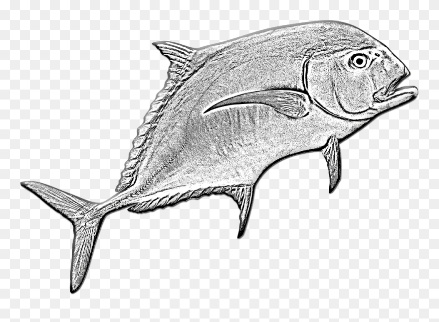 Fish Clipart