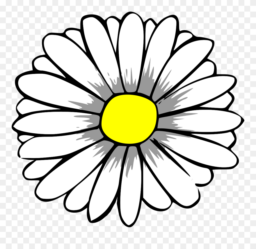 Daisy Flower Clipart