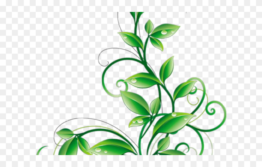 Corner Floral Design Border Png Clipart