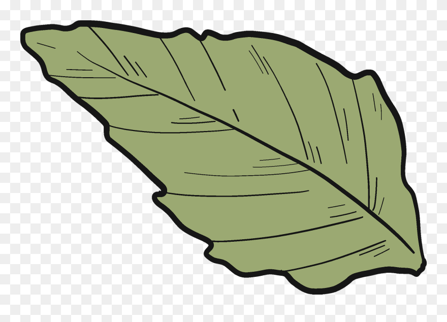 Sunflower Leaf Clipart - Png Download