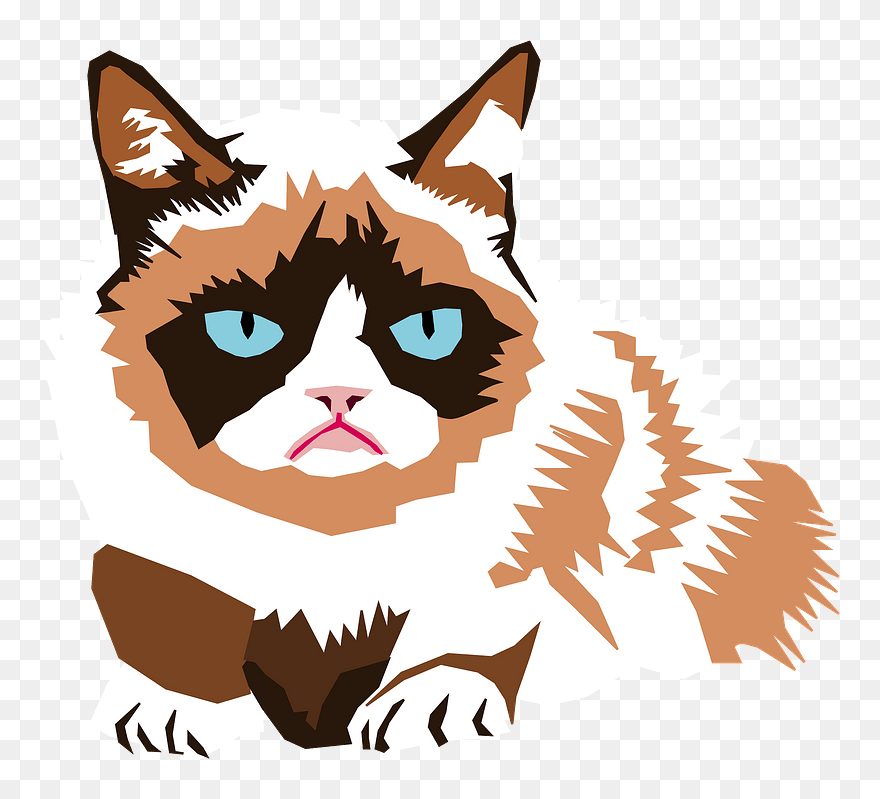 Grumpy Cat Clipart - Daily Meme Calendar 2020 - Png Download