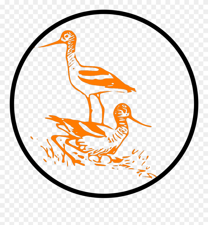 Clip Art - Png Download