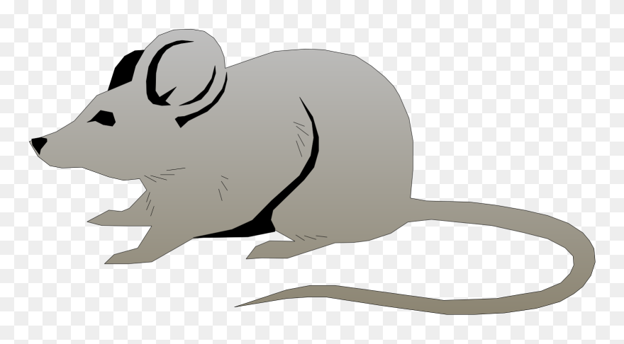 Mouse Clipart Gif - Png Download