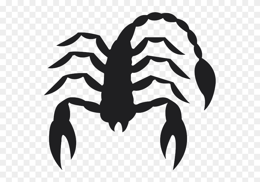 Scorpion Black And White Insect Wing Pattern - Transparent Scorpio Png Clipart