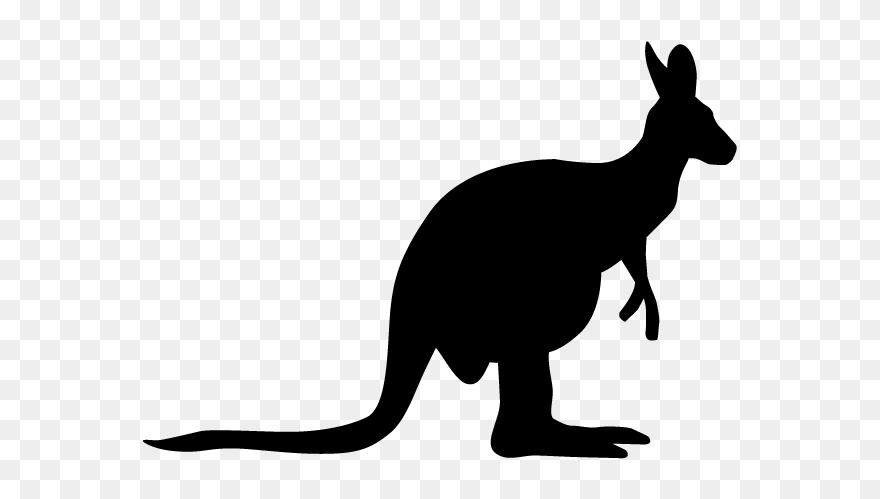 Cute Kangaroo Clipart - Png Download