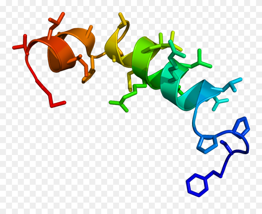 Sun Pathway Clipart Jpg Free Stock Neural Pathways - Neural Pathways And Sleep - Png Download