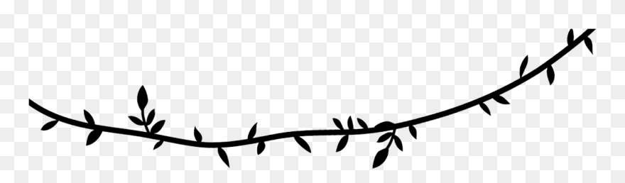Jungle Vine Clipart - Png Download
