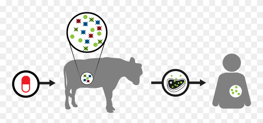 Team Tudelft Igem Org Clipart