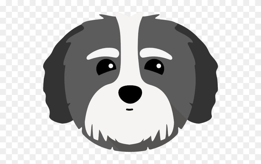 Coton De Tulear Clipart