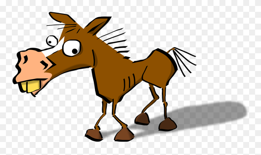 Crazy Horse-1573468767 - Crazy Horse Funny Clipart