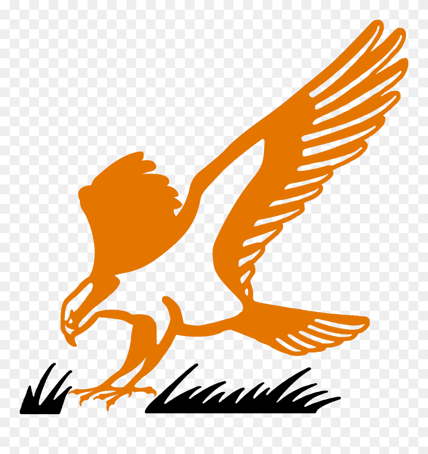 Hawk Clipart Osprey - Clip Art - Png Download