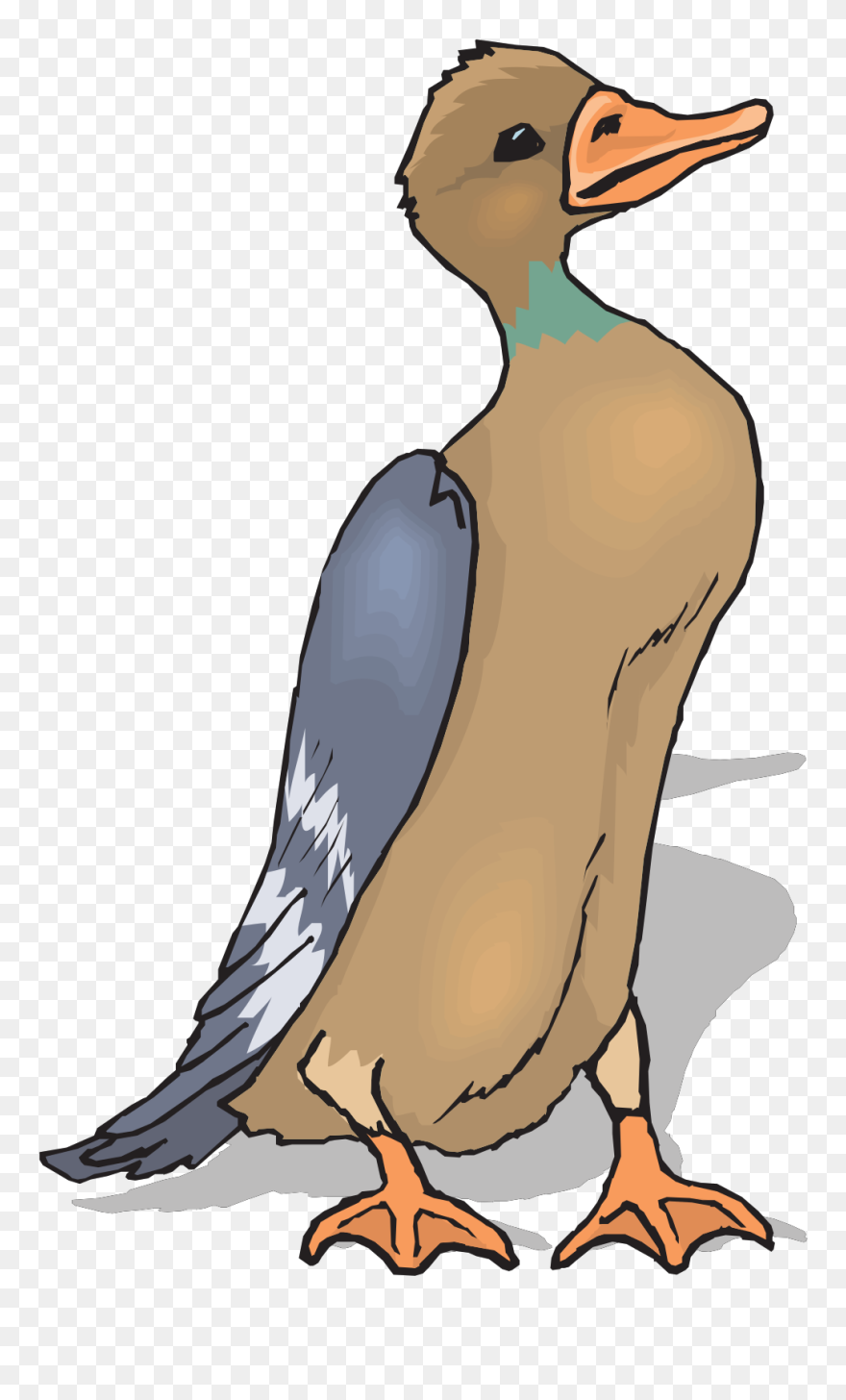 باء بطة نطت نطة وقعت ضحكت منها القطة Clipart