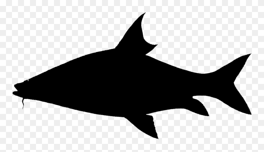 Shark Clip Art Fauna Silhouette Marine Mammal - Png Download