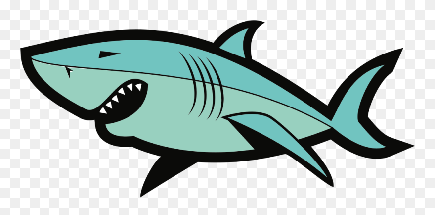Shark - Great White Shark Clipart - Png Download