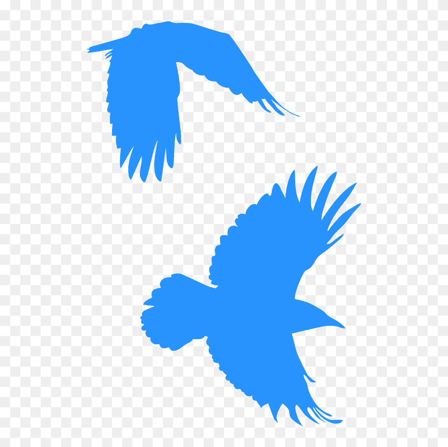 Bird Of Prey Clipart