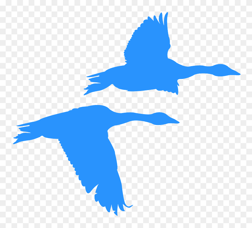 Flying Geese Clipart