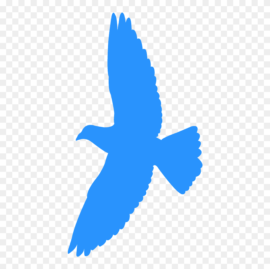 Clip Art - Png Download