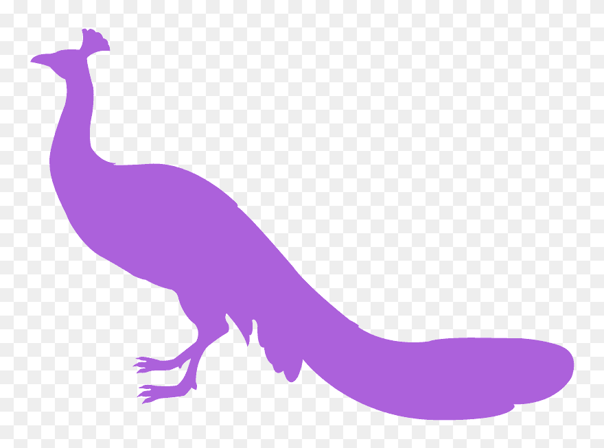 Siluetas De Pavo Real Clipart