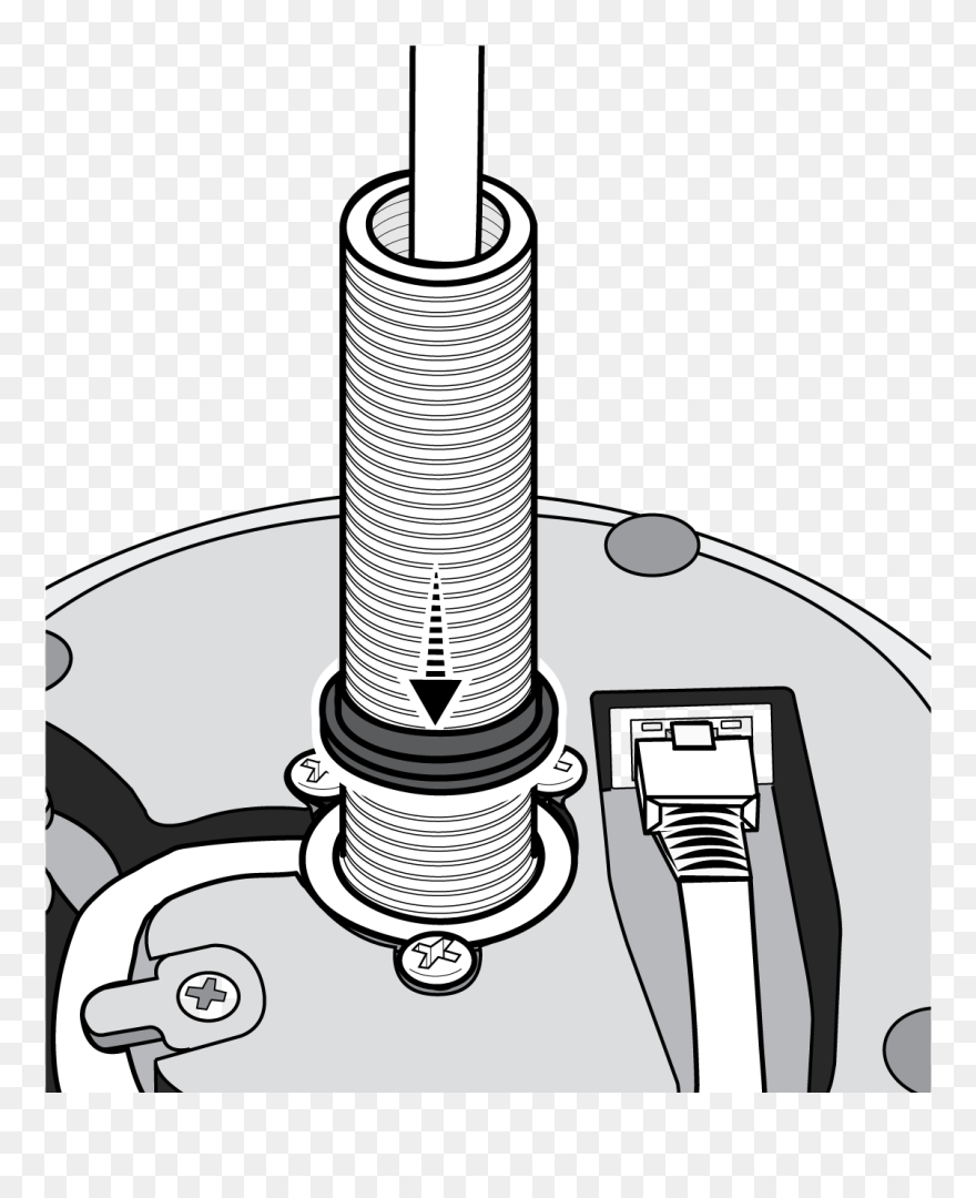 Illustration Clipart